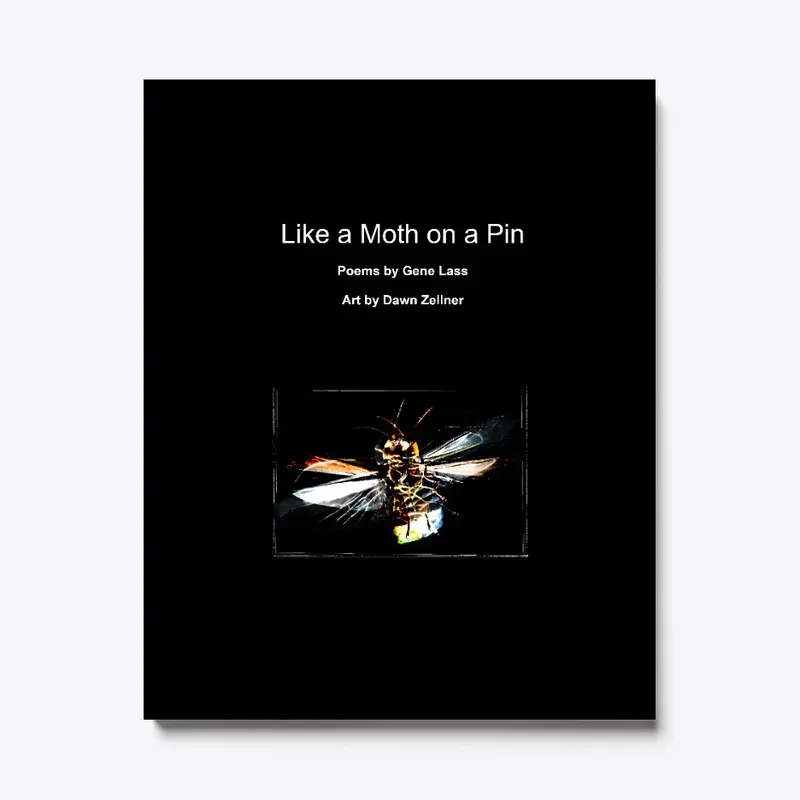 Like a Moth on a Pin cover art