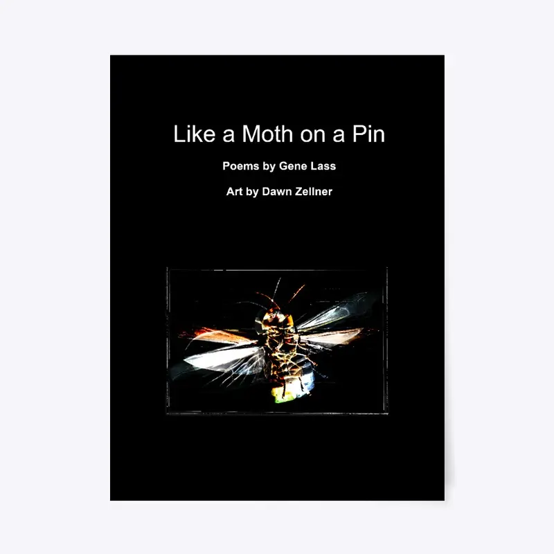 Like a Moth on a Pin cover art