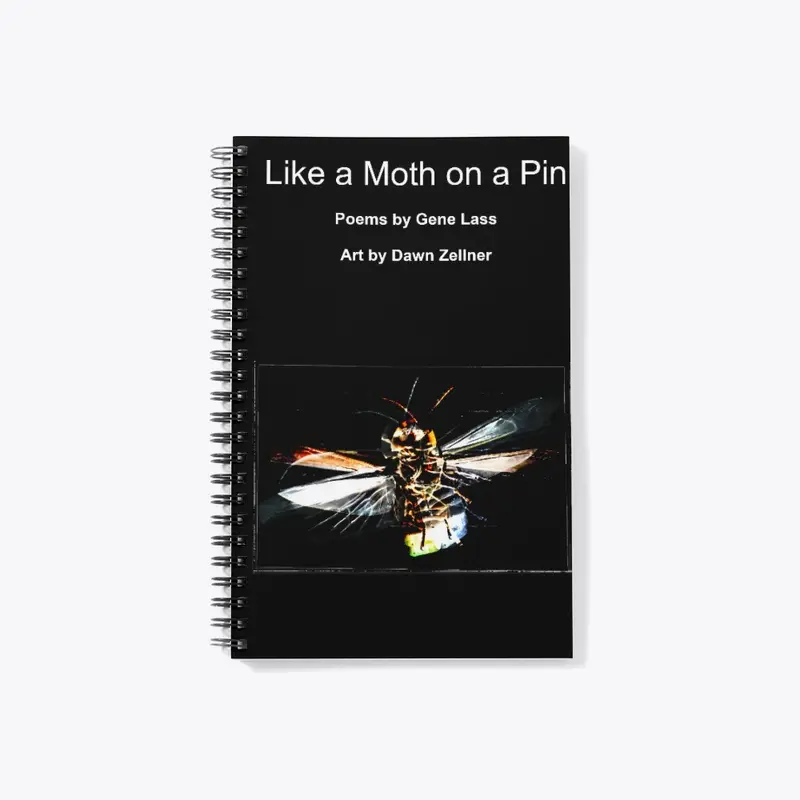 Like a Moth on a Pin cover art